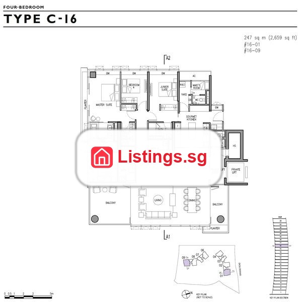 Image 8