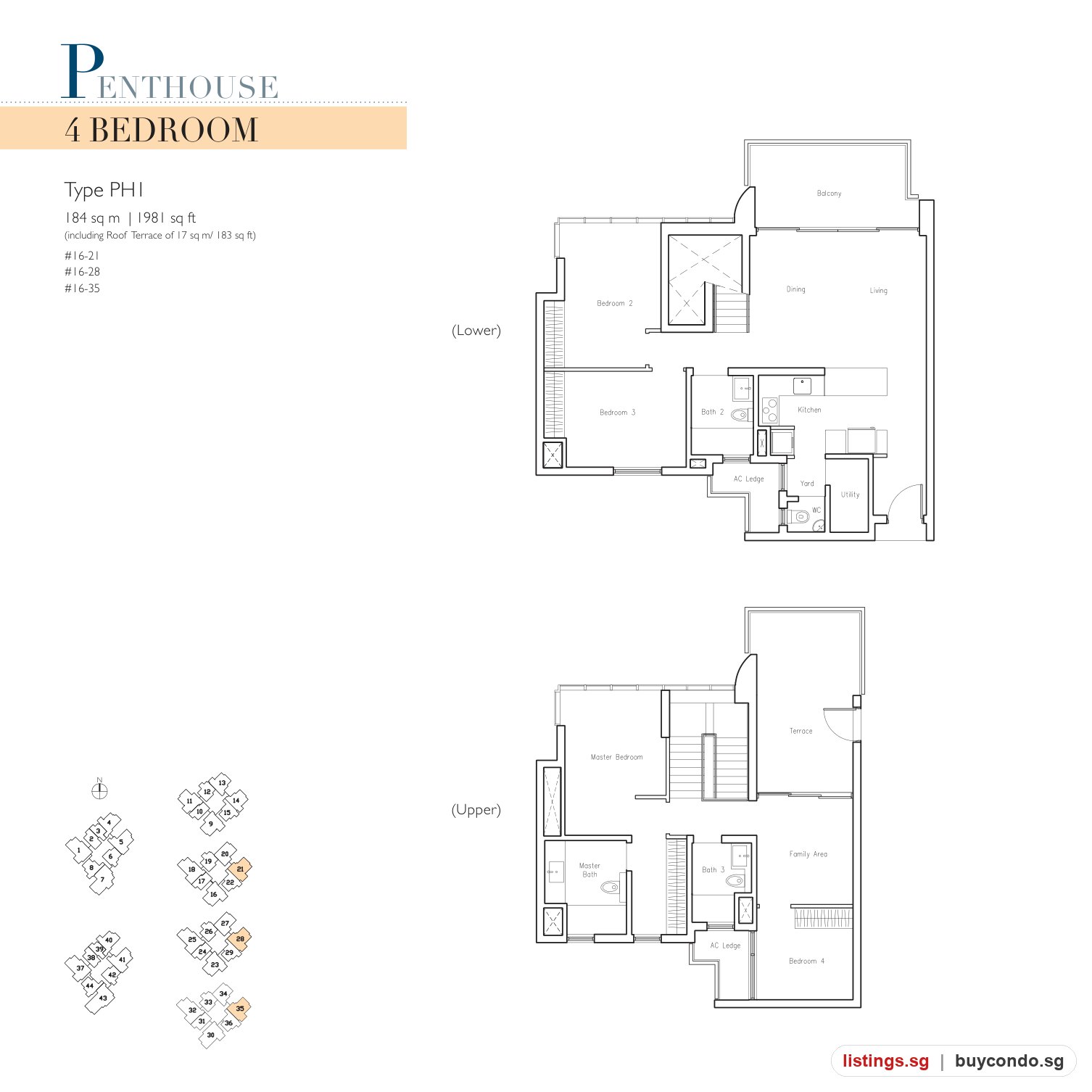 Image 21