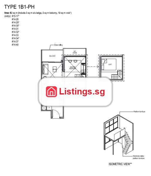 Image 19