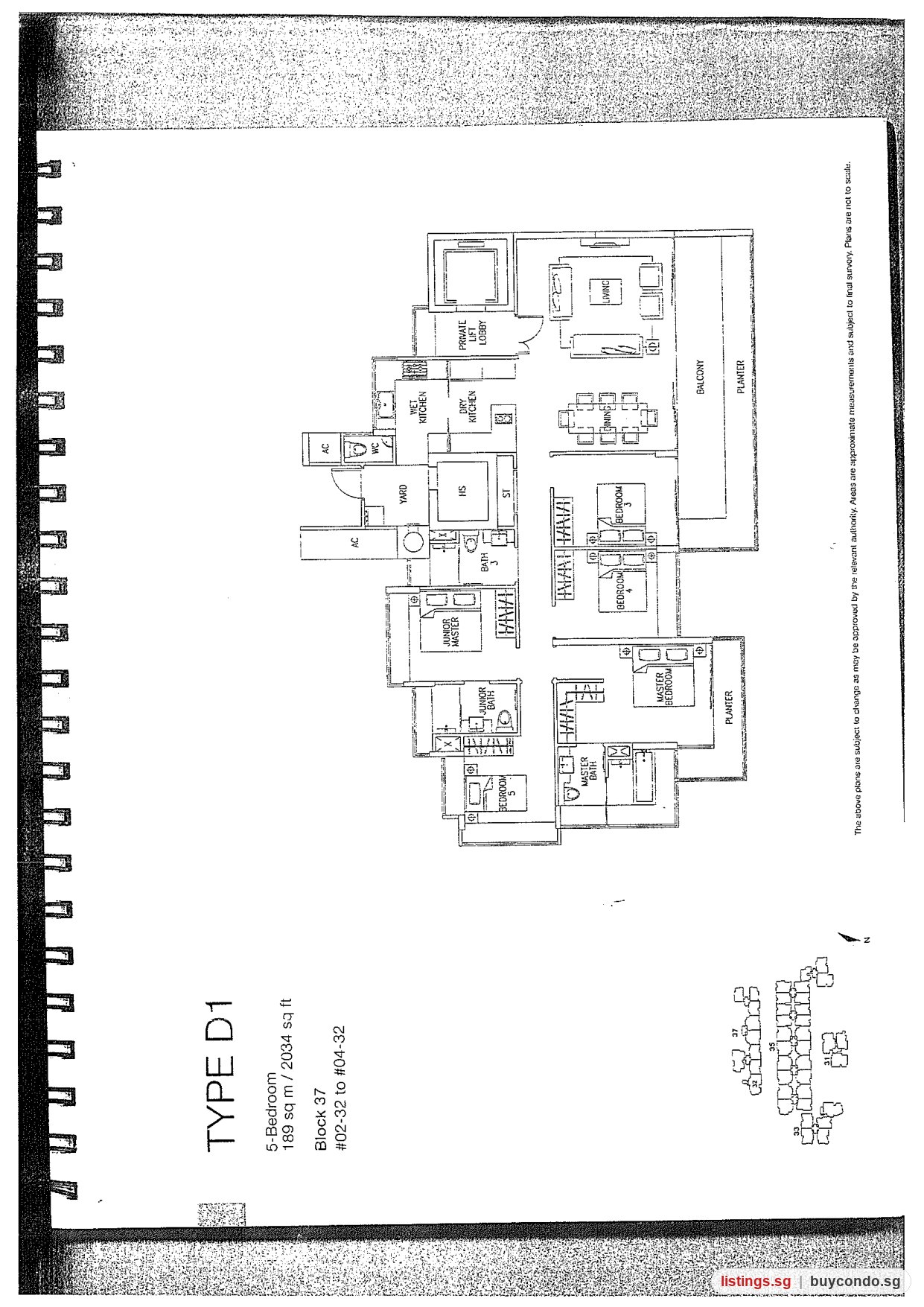 Image 5