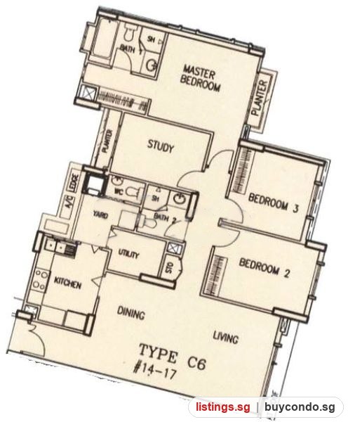 Image 19