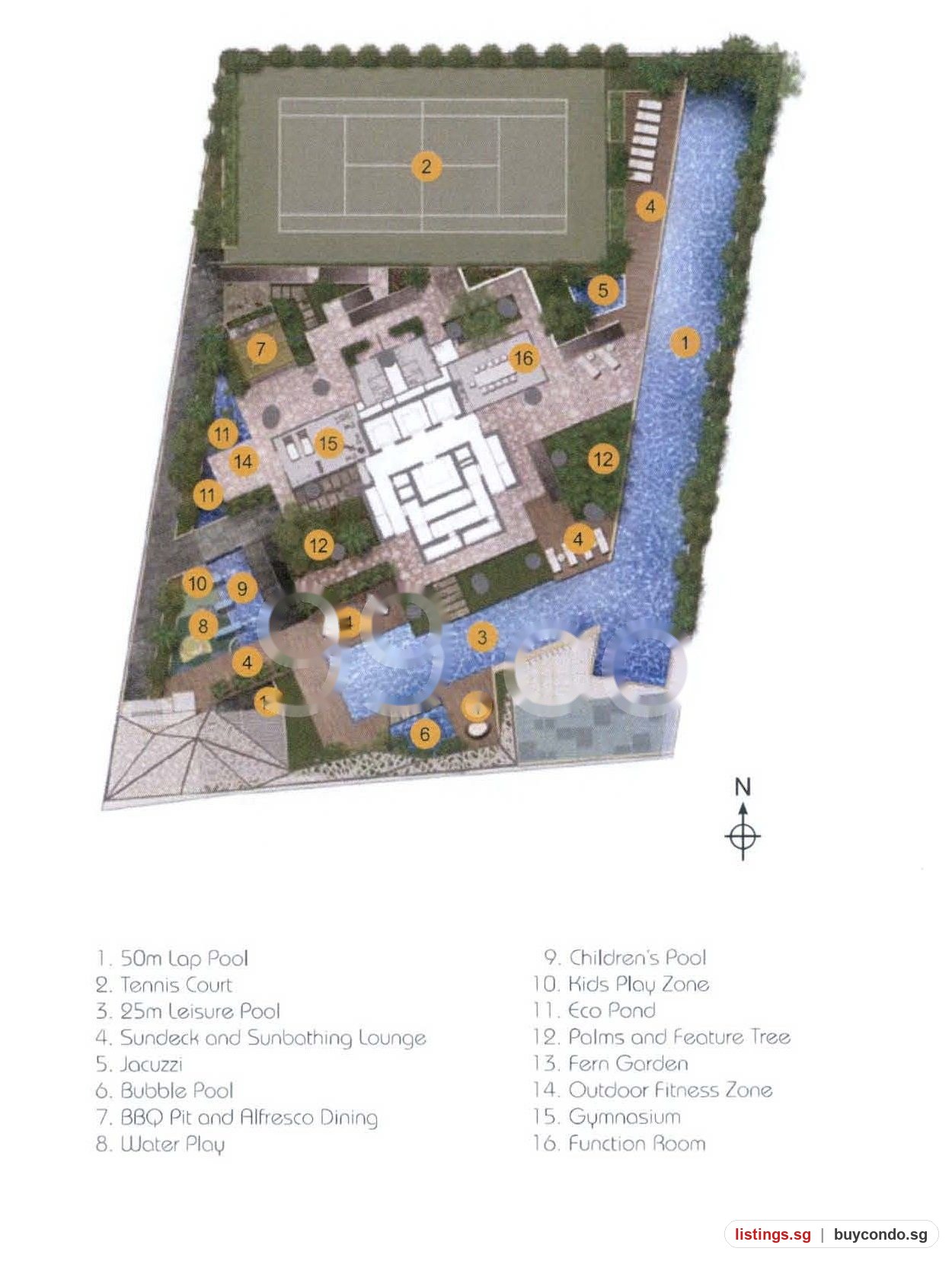 Image 13